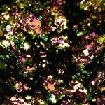 667 Semilac Flash Galaxy Brown&Gold - Image 2